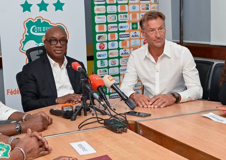 Éléphants / Hervé Renard : « Je n’ai pas beaucoup réfléchi »