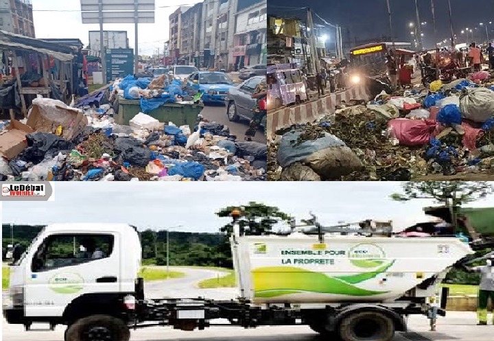 ecoeburnie ordures 2.jpg